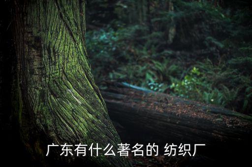 廣東有什么著名的 紡織廠
