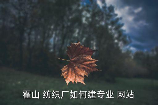 霍山 紡織廠如何建專業(yè) 網(wǎng)站