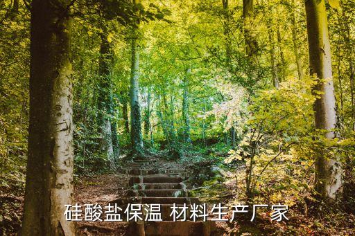 硅酸鹽保溫 材料生產(chǎn)廠家