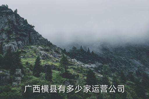 紹興金鑫紡織品有限公司,紹興木林森紡織品有限公司