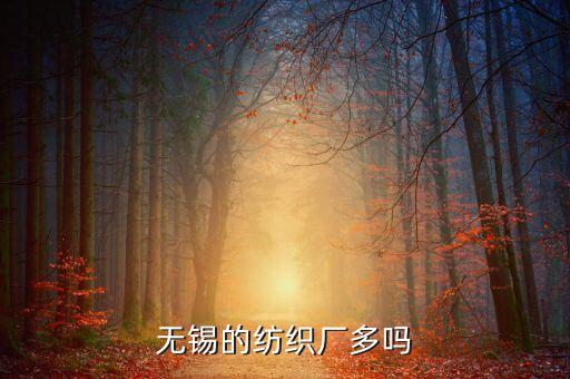 無(wú)錫的紡織廠多嗎