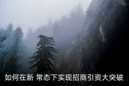 紡織新常態(tài),新常態(tài)提出時間