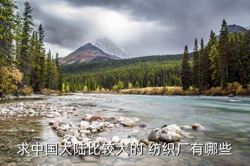 求中國(guó)大陸比較大的 紡織廠有哪些