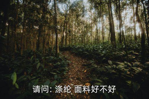 請問: 滌綸 面料好不好