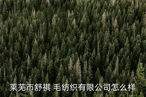 萊蕪市舒祺 毛紡織有限公司怎么樣