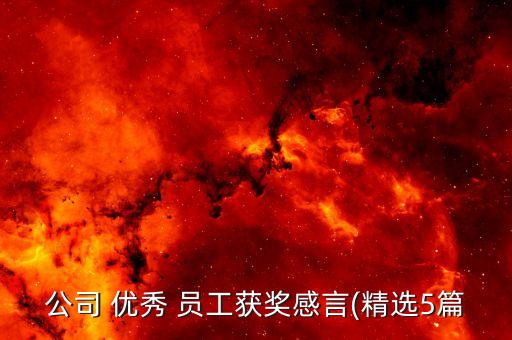 公司 優(yōu)秀 員工獲獎(jiǎng)感言(精選5篇