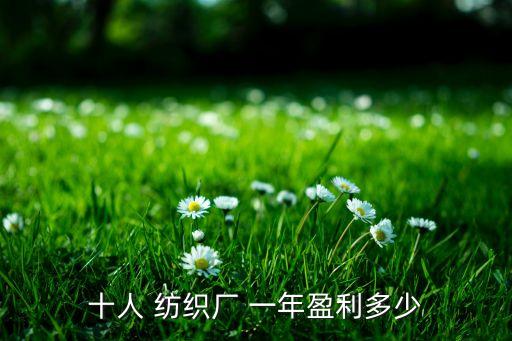 十人 紡織廠 一年盈利多少