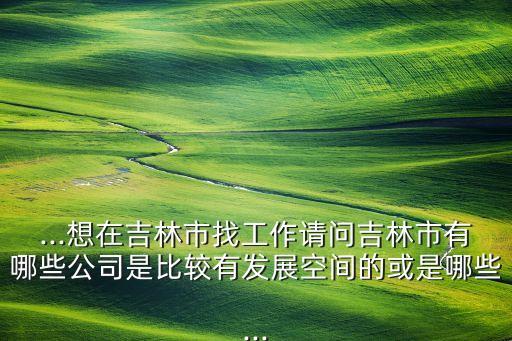 ...想在吉林市找工作請(qǐng)問(wèn)吉林市有哪些公司是比較有發(fā)展空間的或是哪些...
