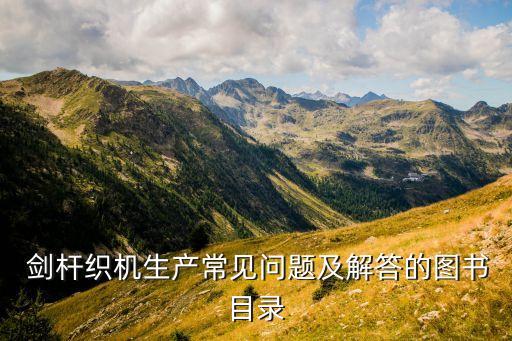 高速劍桿有限公司,山東高速基礎(chǔ)設(shè)施建設(shè)有限公司