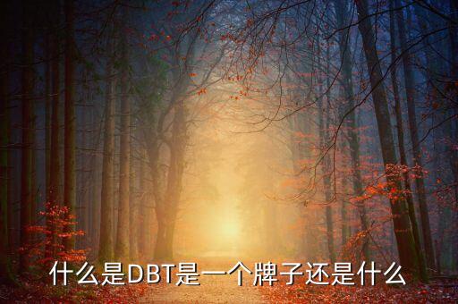 什么是DBT是一個牌子還是什么