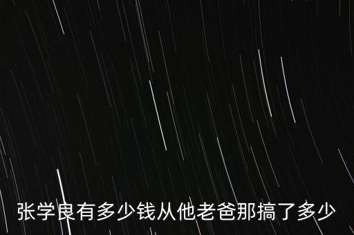 張學(xué)良有多少錢從他老爸那搞了多少