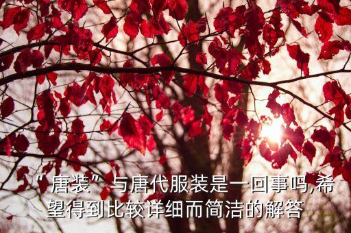 “ 唐裝”與唐代服裝是一回事嗎,希望得到比較詳細而簡潔的解答