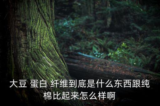 大豆 蛋白 纖維到底是什么東西跟純棉比起來怎么樣啊