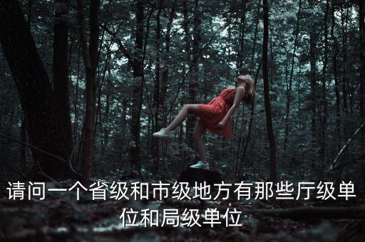 請(qǐng)問一個(gè)省級(jí)和市級(jí)地方有那些廳級(jí)單位和局級(jí)單位