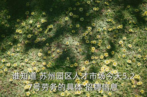 誰知道 蘇州園區(qū)人才市場今天5.27號勞務(wù)的具體 招聘信息