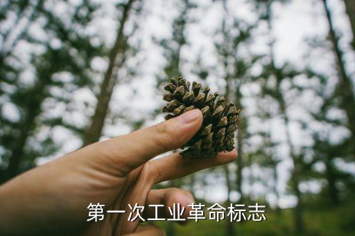 第一次工業(yè)革命標(biāo)志