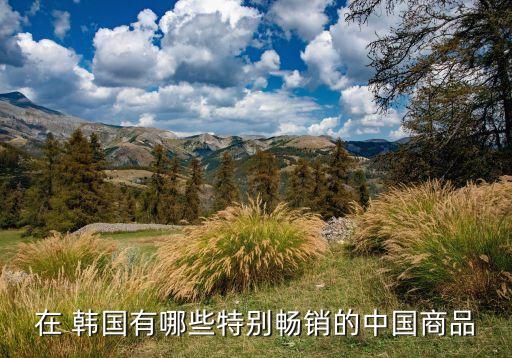 在 韓國有哪些特別暢銷的中國商品