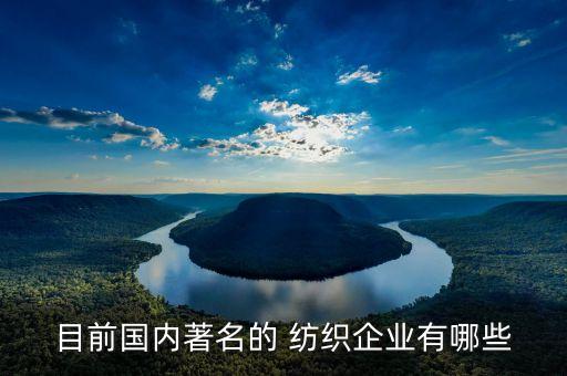 目前國內著名的 紡織企業(yè)有哪些