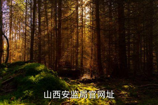 山西安監(jiān)局官網(wǎng)址