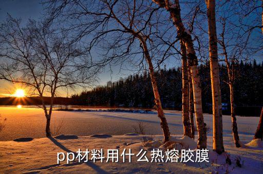  pp材料用什么熱熔膠膜