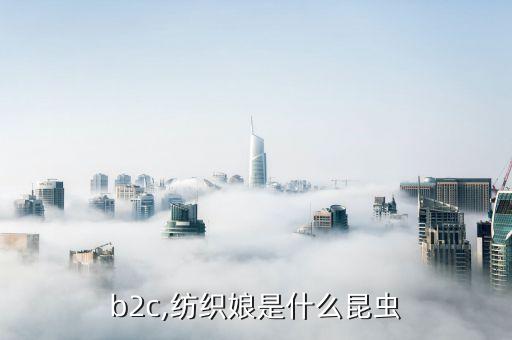 紡織b2c,紡織娘是什么昆蟲