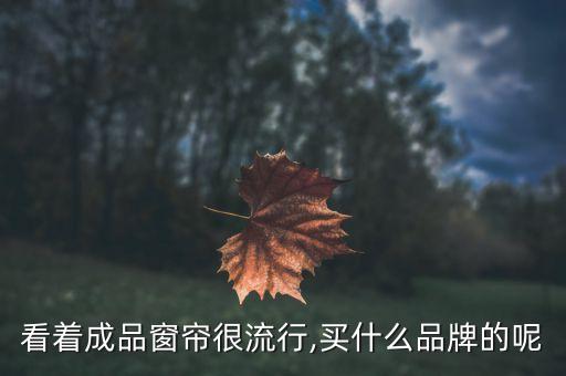 看著成品窗簾很流行,買(mǎi)什么品牌的呢