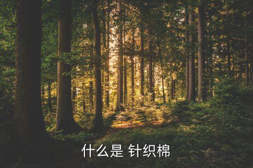 純棉針織面料的種類,針織面料種類及名稱及圖片
