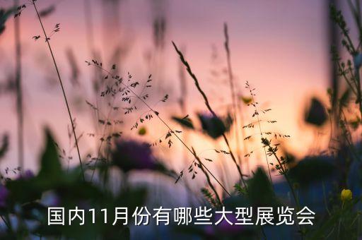 國內(nèi)11月份有哪些大型展覽會