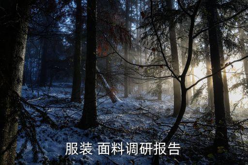 服裝 面料調(diào)研報告