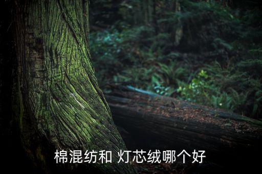燈芯絨面料優(yōu)點(diǎn),雪尼爾是燈芯絨面料嗎
