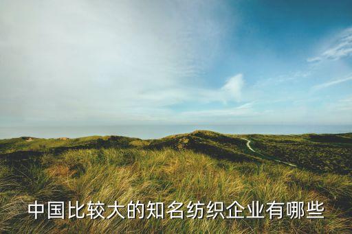 中國比較大的知名紡織企業(yè)有哪些