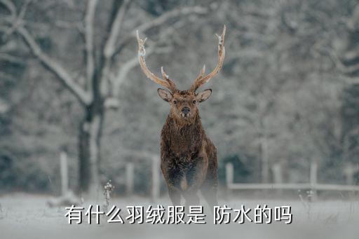 有什么羽絨服是 防水的嗎