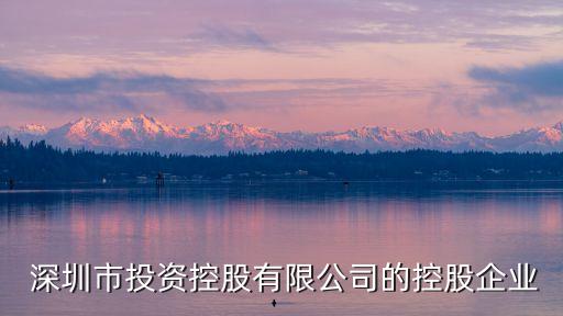  深圳市投資控股有限公司的控股企業(yè)