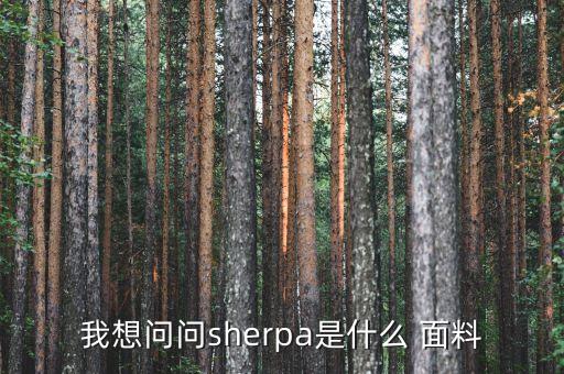 超柔短毛絨面料,短毛絨面料的優(yōu)缺點