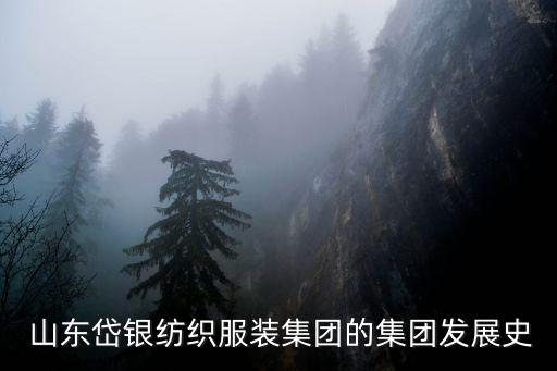 山東岱銀紡織服裝集團的集團發(fā)展史