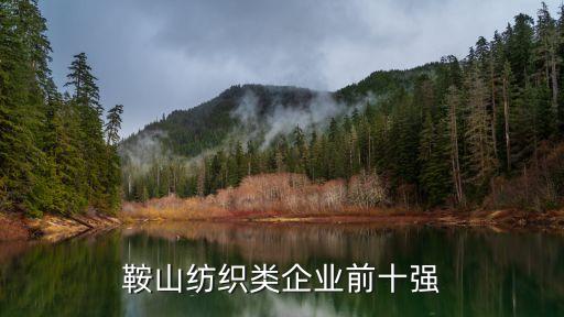 鞍山紡織類企業(yè)前十強
