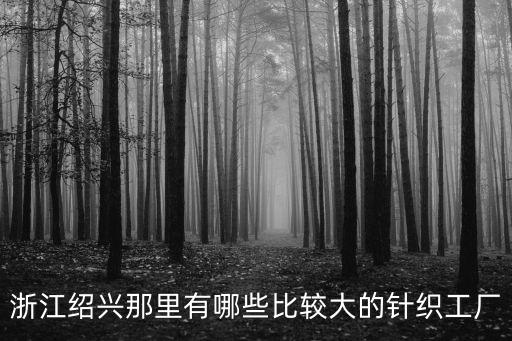 浙江紹興那里有哪些比較大的針織工廠