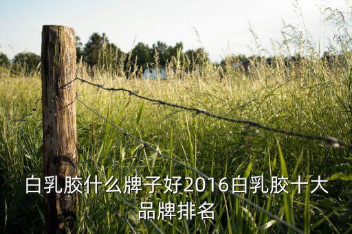 白乳膠什么牌子好2016白乳膠十大品牌排名
