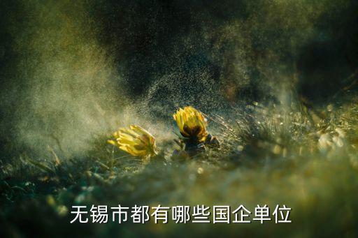  無錫市都有哪些國企單位