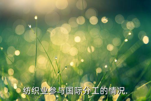 中國(guó)紡織業(yè)參與國(guó)際分工的情況.