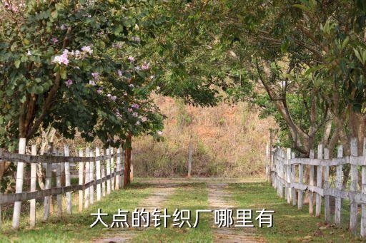 大點(diǎn)的針織廠哪里有