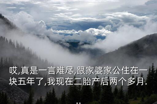 紹興縣瑩莎紡織有限公司,安徽耀莎紡織有限公司