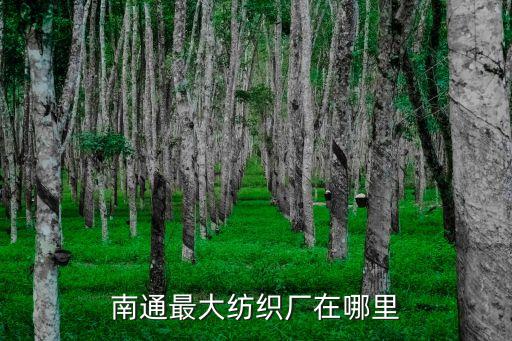 棉紡織公司,平棉紡織集團(tuán)