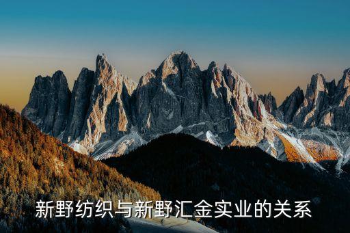 新野紡織與新野匯金實業(yè)的關(guān)系