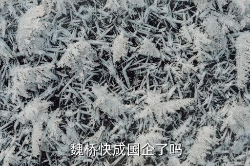 魏橋創(chuàng)業(yè)紡織