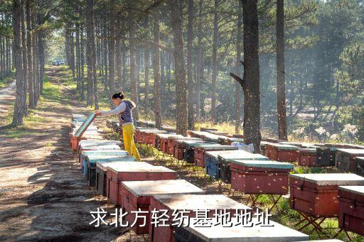 石家莊億天紡織有限公司 規(guī)模