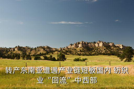 轉(zhuǎn)產(chǎn)東南亞遭遇產(chǎn)業(yè)鏈短板國(guó)內(nèi) 紡織業(yè)“回流”中西部