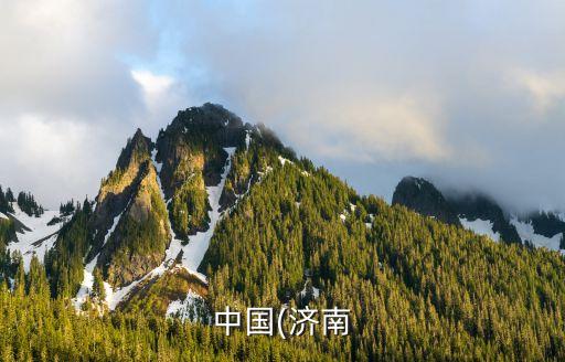 紡織行業(yè)報刊