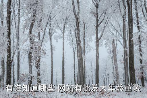 有誰知道哪些 網(wǎng)站有批發(fā)大年齡童裝