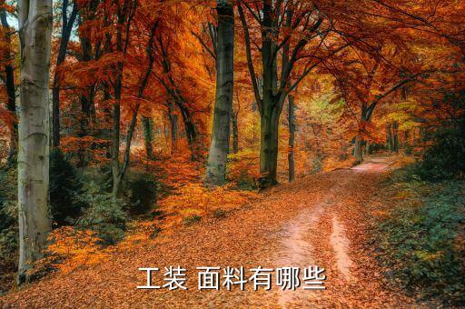 工裝 面料有哪些